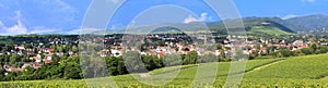 Panorama view of the city MÃ¼llheim, Baden