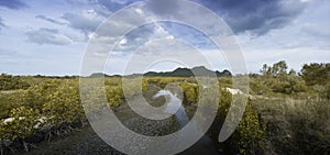 Panorama view of crack earth and dry water among mangrove forest with blue sky, clouds and long mountain in background