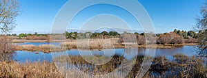 Panorama view of Donana National Park wetlands photo