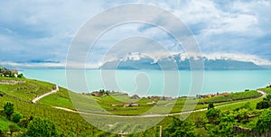 Panorama view of famous vineyard , Lavaux ,chexbres
