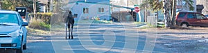 Panorama view female moose walking on residential street of suburban duplex houses with parked cars in Anchorage, Alaska