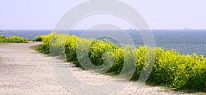 Panorama View Of Finland Gulf