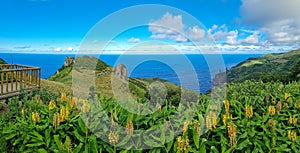 Panorama View - the green paradise in the Atlantic Ocean Pure nature on Flores Island, Azores.