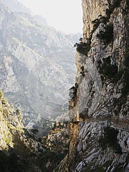 Panorama view of hiking trail path route Senda del Cares cut in Picos de Europa mountains cliff wall Leon Asturias Spain photo