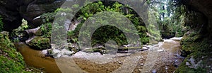 Panorama view of Honeycomb Hill Arch, New Zealand