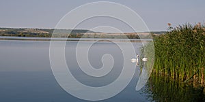 Panorama view from Kis(s) Balaton in Hungary photo