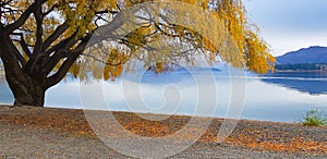 Panorama view landscape view at Wanaka lake New zealand in autumn