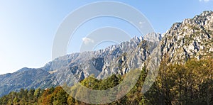 Panorama view of Mountain range Musi, Julian Alps with forest in foreground