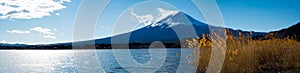 Panorama view of Mt. Fuji at Oishi Park