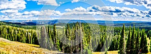 Panorama View from Mt. Washburn Outlook on the Grand Loop Road in Yellowstone National Park photo