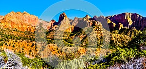 Panorama View of Nagunt Mesa, and other Red Rock Peaks of the Kolob Canyon part of Zion National Park, Utah, United Sates