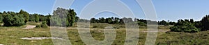 Panorama view over heathland with juniper and sand patches