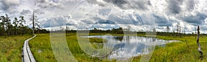 Panorama view of a peat bog landscape and marsh with a wooden boardwalk nature trail