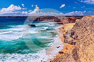 Panorama view of Praia do Tonel (Tonel beach) in Cape Sagres, Algarve, Portugal. Seagulls flying over Praia Do Tonel, beach