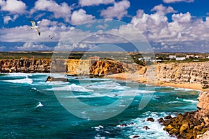 Panorama view of Praia do Tonel (Tonel beach) in Cape Sagres, Algarve, Portugal. Seagulls flying over Praia Do Tonel, beach