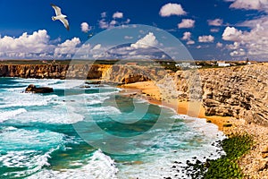 Panorama view of Praia do Tonel (Tonel beach) in Cape Sagres, Algarve, Portugal. Seagulls flying over Praia Do Tonel, beach