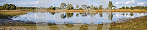 Panorama view at Putse Moer in nature park Kalmthoutse Heide in Flanders, Belgium