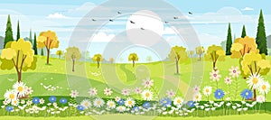 Panorama view of spring village with green meadow on hills with blue sky, Vector cartoon Spring or Summer landscape of countryside