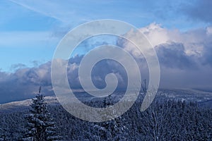 Panorama view at winter forest against cloudy sky at sunset