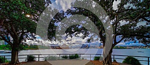 Panorama views of Sydney Darling Harbour Bridge NSW Australia. Residential apartments and office building