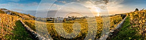 Panorama of vineyards in Lutry