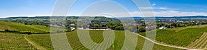 Panorama of the vineyards near Ingelheim / Germany