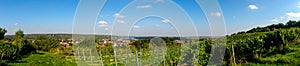 Panorama of the vineyards in Nierstein a town in Rheinhessen photo