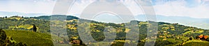 Panorama of Vineyards in south styria in Austria. Landscape of Leibnitz area from Kogelberg