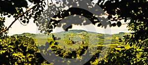 Panorama of Vineyards in south styria in Austria. Landscape of Leibnitz area from Kogelberg