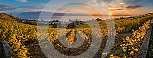 Panorama of vineyards in Switzerland