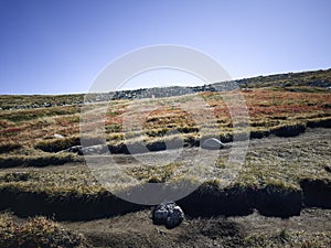 Panorama of Vitosha Mountain, Bulgaria photo