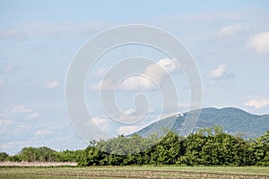 Panorama of vrsacki breg, also called the mountain of vrsac, a major hill and massif of Banat province,