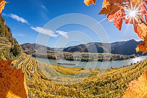 Panorama of Wachau (Unesco world heritage site) with ships on Danube river near the Weissenkirchen village in Lower