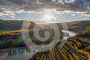 Panorama of Wachau valley with autumn vineyards against Danube river near the Durnstein village in Lower Austria, Austria