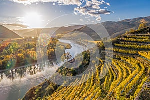 Panorama of Wachau valley with autumn vineyards against Danube river near the Durnstein village in Lower Austria, Austria