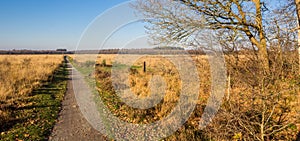 Panorama of the walking path in the nature reserve of Noordsche Veld in Drenthe