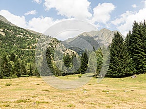 Panorama of walley in Pyrenees. Pla De Boavi in the province of Lleida, Catalonia, Spain