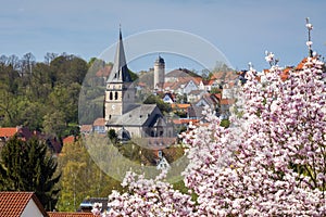 Panorama of Warburg in spring time