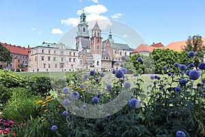 Panorama of Wawel Castle against the background of bright summer flowers on a sunny day, Krakow