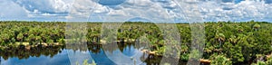 Panorama of Weekiwachee Wildlife Management Area - Spring Hill, Florida, USA