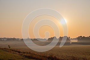 Panorama of a wheat field in the morning with fog