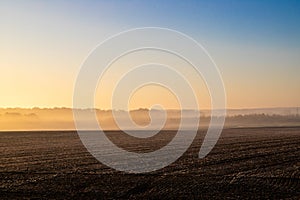 Panorama of a wheat field in the morning with fog