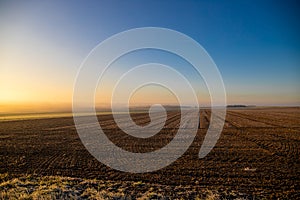 Panorama of a wheat field in the morning with fog