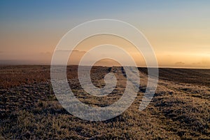 Panorama of a wheat field in the morning with fog