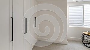 Panorama White cabinet doors in a room with carpeted flooring