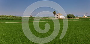 Panorama of a white house in the rice fields of La Albufera