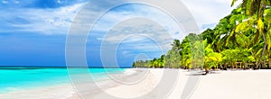 Panorama of white sandy beach with coconut palm trees in Caribbean sea, Dominican Republic