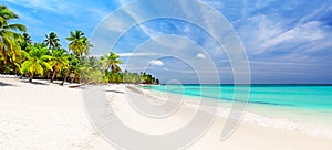 Panorama of white sandy beach with coconut palm trees in Caribbean sea, Saona island in Dominican Republic