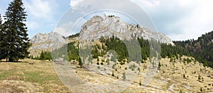 Panorama with White Stones