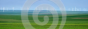 Panorama of white wind turbines on layers of agricultural crops with various green shades, on an overcast sky, in Dobrogea.